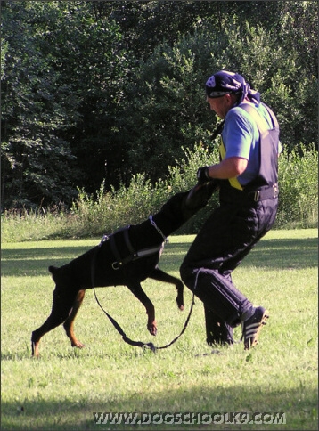 Summer training camp in Estonia 2007